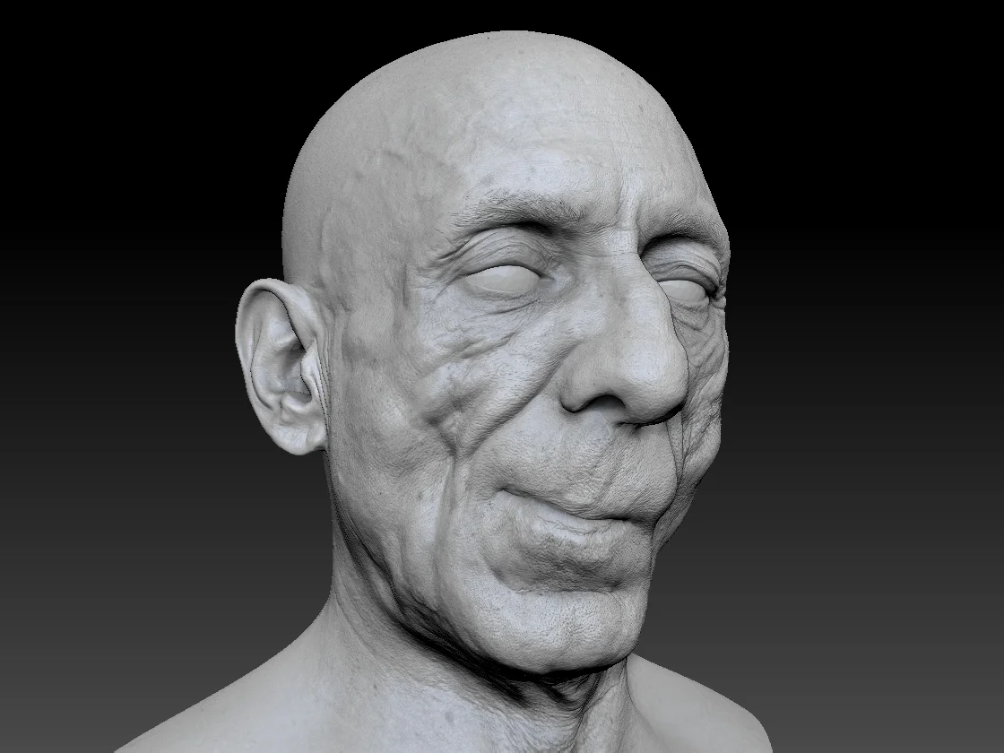 Human heads and FACS scans Render